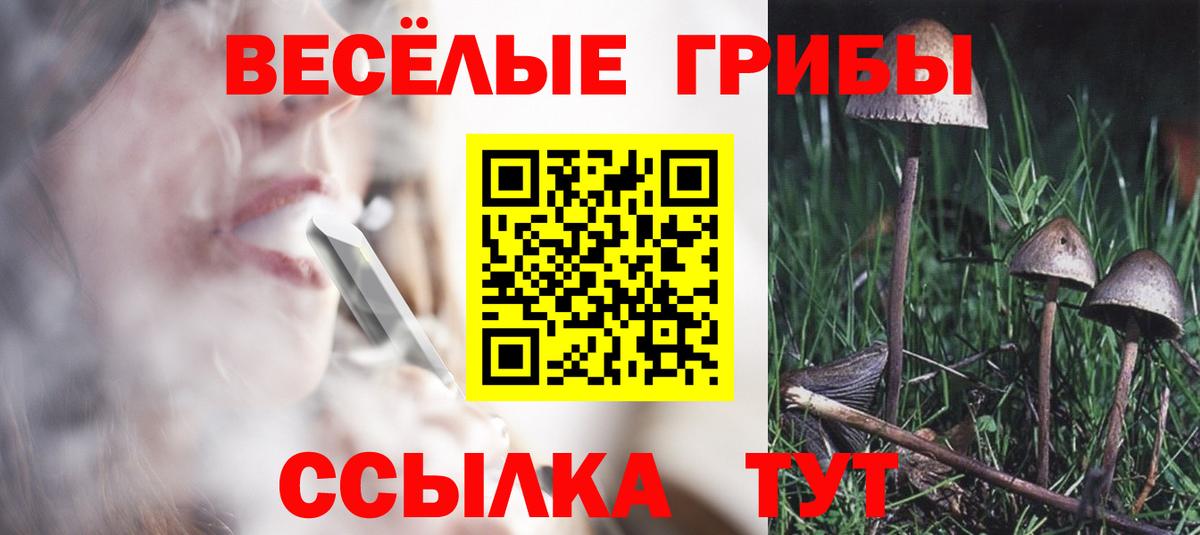 Галлюциногенные грибы Cubensis  Вход с VPN  Майкоп 